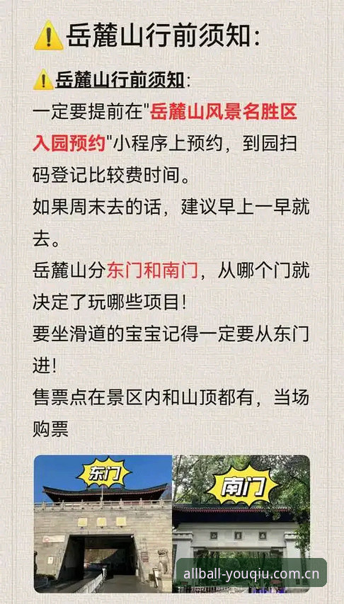 自己乱搜攻略vs找准兼容版入口：专业媒体的有球体育新版体验避坑指南